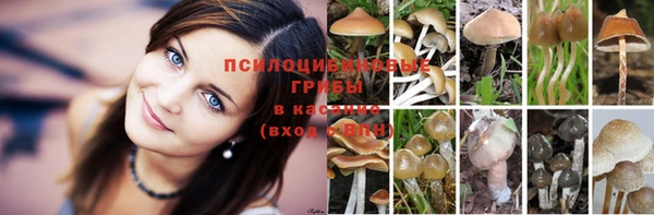 кокаин премиум Армянск