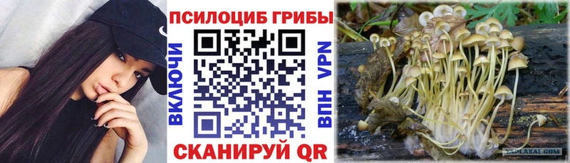 Галлюциногенные грибы Magic Shrooms  Купить где  Москва 