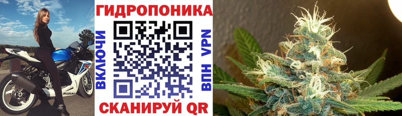 Купить закладки  Москва  МАРИХУАНА White Widow 